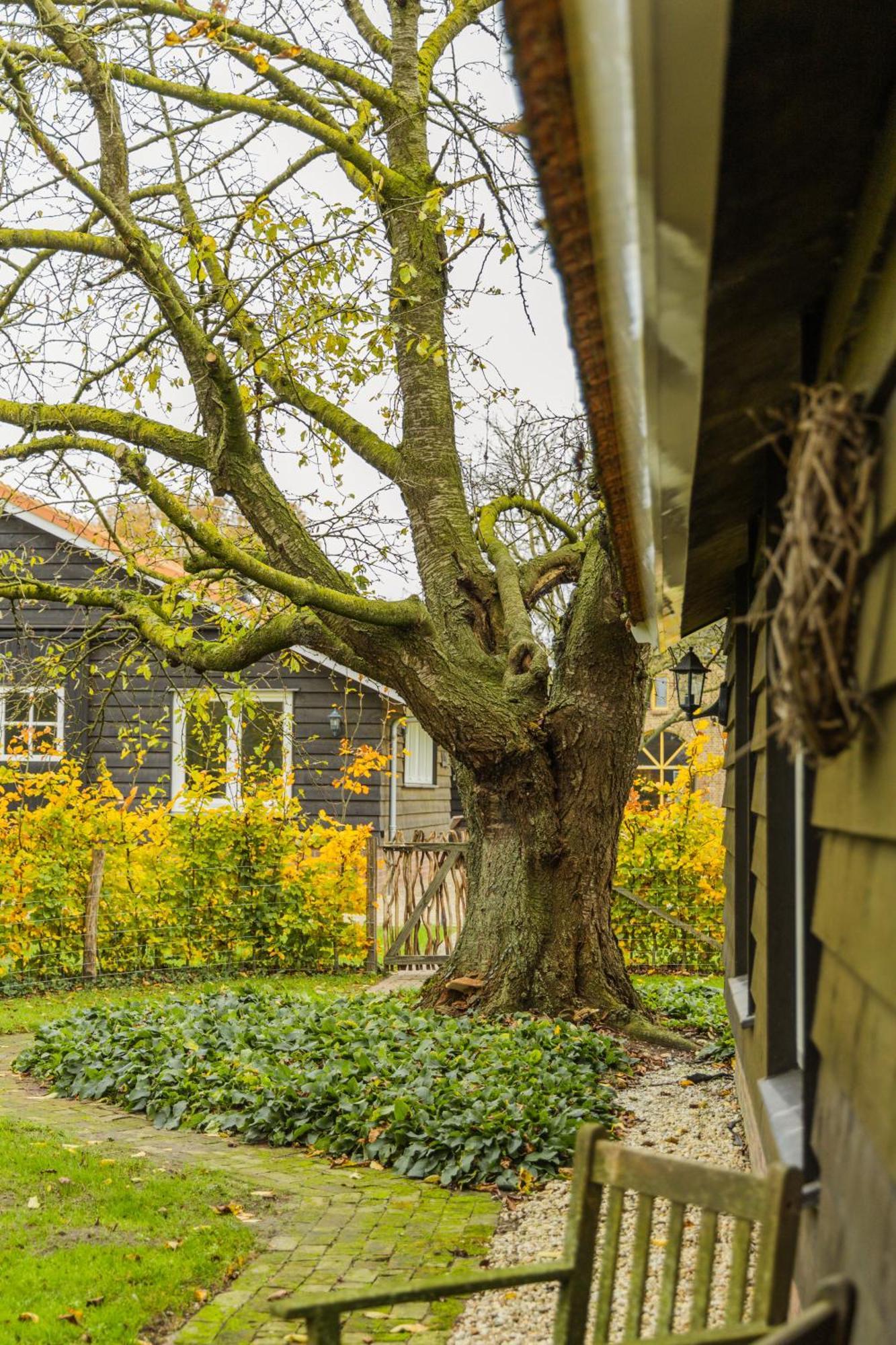De Bonte Specht Vakantiehuis *